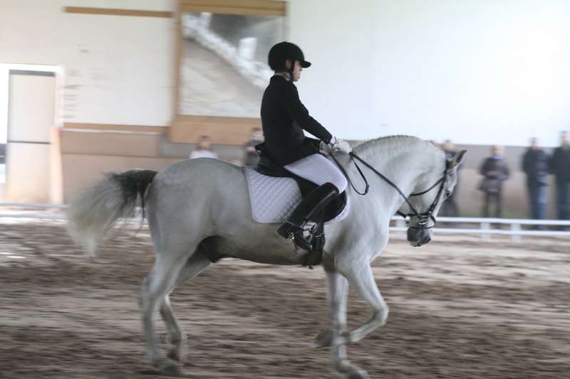 Segunda Fase de la Liga de Doma Clásica